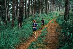 BIB: 
                            <button type="button" onclick="openModal(25655099)" class="btn btn-primary btn-sm float-right btn-popup" data-toggle="modal" data-target=".modal-high-quality">
                        <i class="fas fa-shopping-cart"></i> Add to Cart
                    </button>
                                            <button type="button" onclick="isThisMe(25655099, true)" class="btn btn-success btn-sm float-right btn-popup btn-isme hidden" data-toggle="tooltip" data-placement="bottom" title="นี่คือรูปของคุณใช่ไหม คลิกที่นี่เพื่อเอาเข้าอัลบั้ม">
                        <i class="fas fa-plus"></i> Add to album
                    </button>
                    <button type="button" onclick="isThisMe(25655099, false)" class="btn btn-warning btn-sm float-right btn-popup btn-isnotme hidden">
                        <i class="fas fa-ban"></i> Remove from album
                    </button>